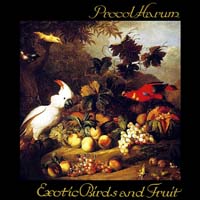 Exotic Birds and Fruit